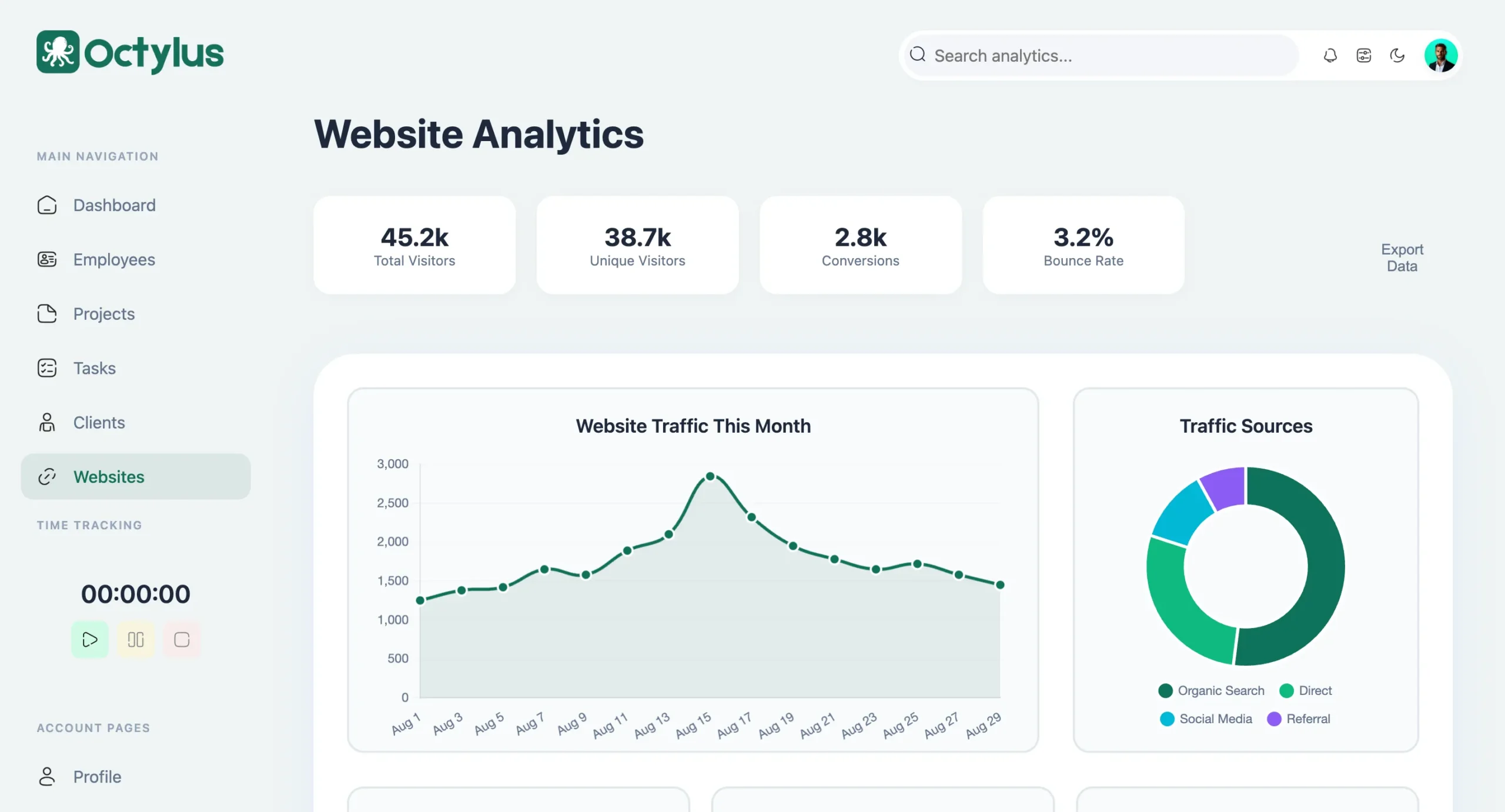 All in one business website analytics screen of Octylus software for monitoring traffic and performance metrics